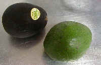 wpe13.jpg (3477 �o�C�g)