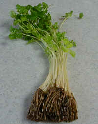 wpe14.jpg (6573 �o�C�g)