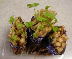 wpe19.jpg (7355 �o�C�g)